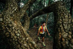 BIB: 
                            <button type="button" onclick="openModal(25669249)" class="btn btn-primary btn-sm float-right btn-popup" data-toggle="modal" data-target=".modal-high-quality">
                        <i class="fas fa-shopping-cart"></i> Add to Cart
                    </button>
                                            <button type="button" onclick="isThisMe(25669249, true)" class="btn btn-success btn-sm float-right btn-popup btn-isme hidden" data-toggle="tooltip" data-placement="bottom" title="นี่คือรูปของคุณใช่ไหม คลิกที่นี่เพื่อเอาเข้าอัลบั้ม">
                        <i class="fas fa-plus"></i> Add to album
                    </button>
                    <button type="button" onclick="isThisMe(25669249, false)" class="btn btn-warning btn-sm float-right btn-popup btn-isnotme hidden">
                        <i class="fas fa-ban"></i> Remove from album
                    </button>